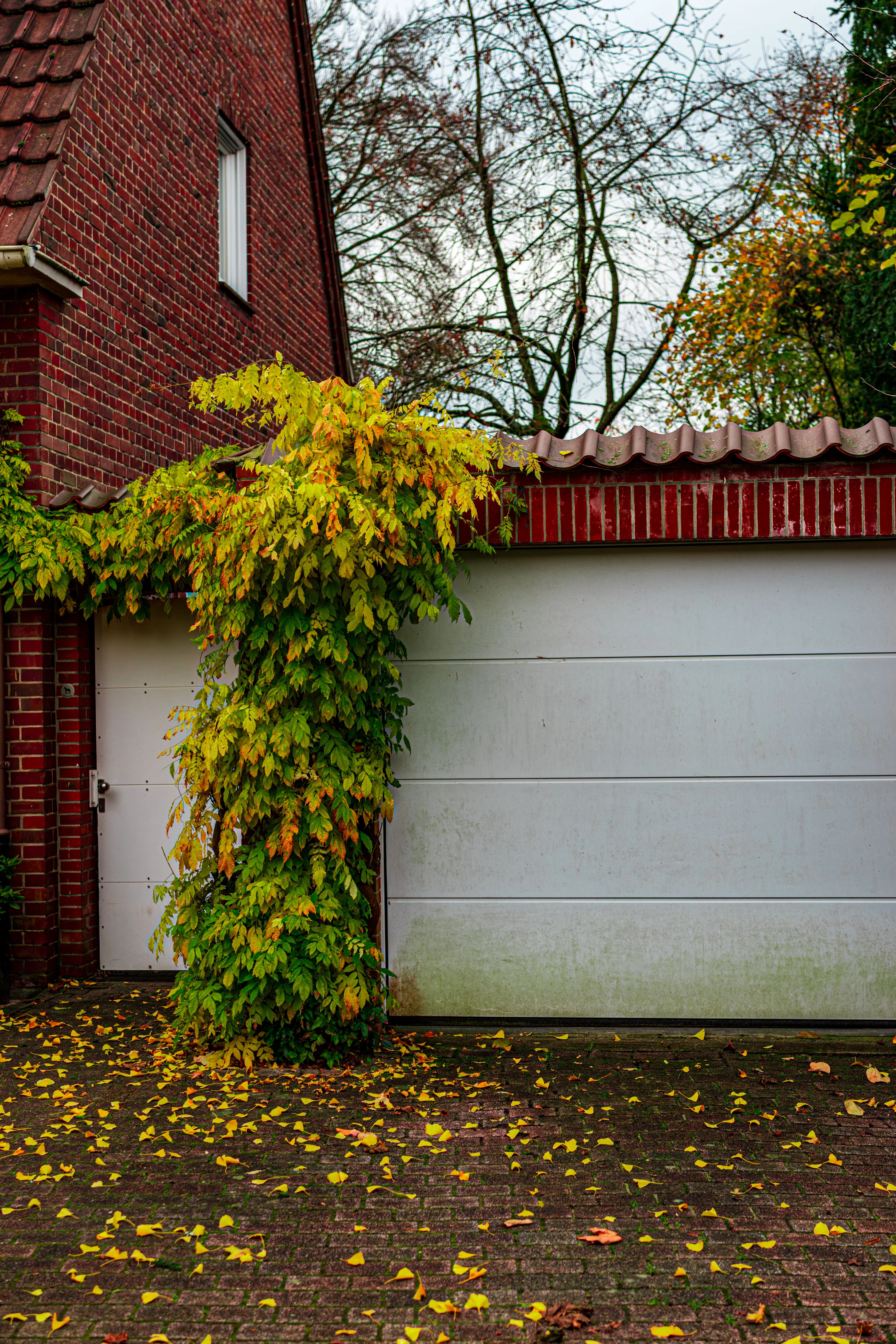Residential garage door in Danville